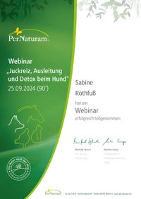 Juckreiz, Ausleitung und Detox beim Hund