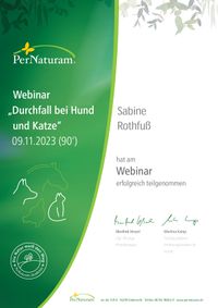 PN_Zertifikat_ Webinar_Durchfall bei Hund und Katze_09.11.2023_page-0001